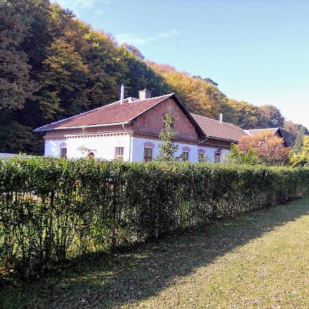 Parva Foresta Daire Miskolc Dış mekan fotoğraf