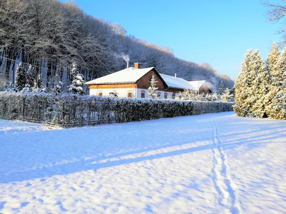 Parva Foresta Daire Miskolc Dış mekan fotoğraf