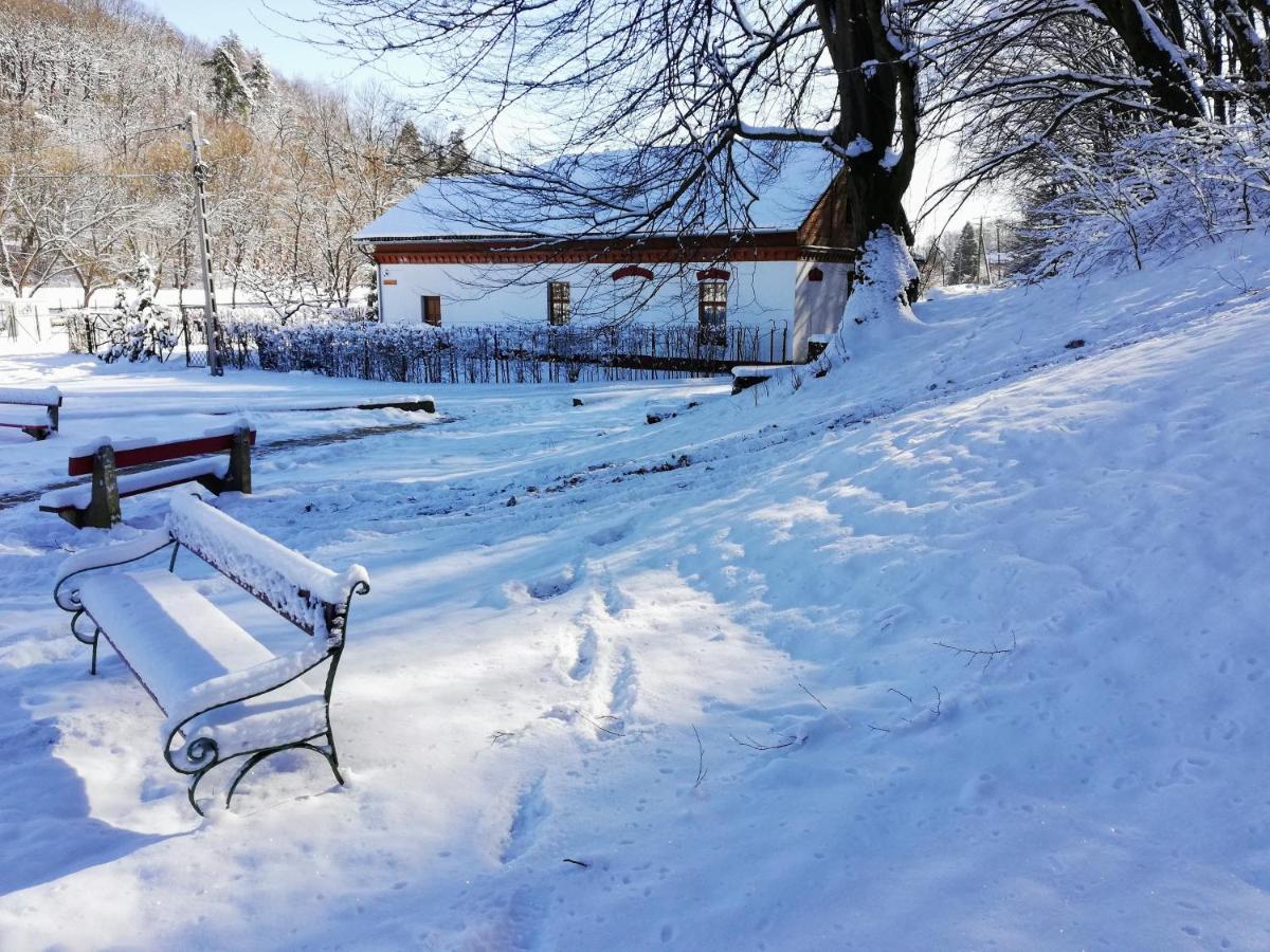 Parva Foresta Daire Miskolc Dış mekan fotoğraf